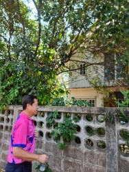 LINE_ALBUM_ลงพื้นที่ ม_1 สันป่าตอง_260324_7.jpg - เทศบาลตำบลสันป่าตองได้เข้าร่วมประชุมประชาคมเพื่อทบทวนแผนพัฒนาท้องถิ่น พ.ศ 2566 - 2570 ระดับหมู่บ้าน บ้านสันป่าตองหลวง | https://www.sanpatong.go.th